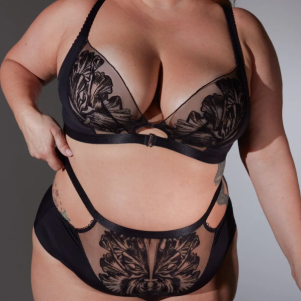 ISO Looking for Thistle and Spire O'Keefe Bralette and / or panties in 2X 3X